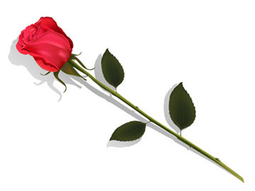/images/rose-promiz2.jpg