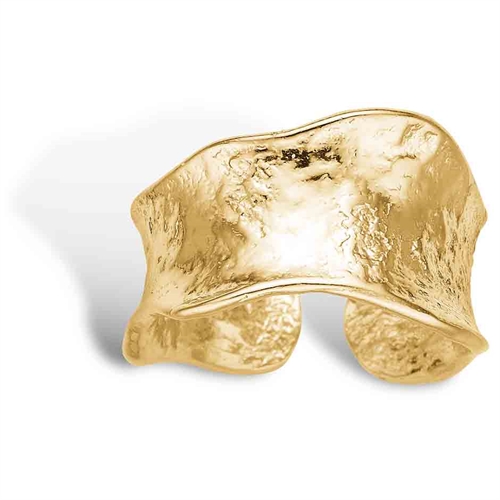 Billede af Aiolos Ring guld